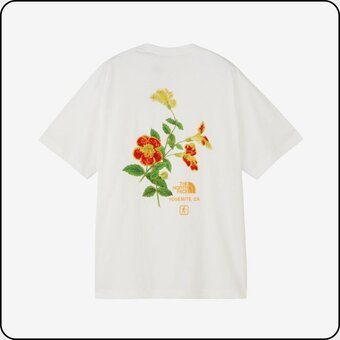 ノースフェイス 速乾Tシャツ