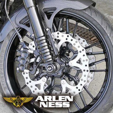 ARLEN NESS