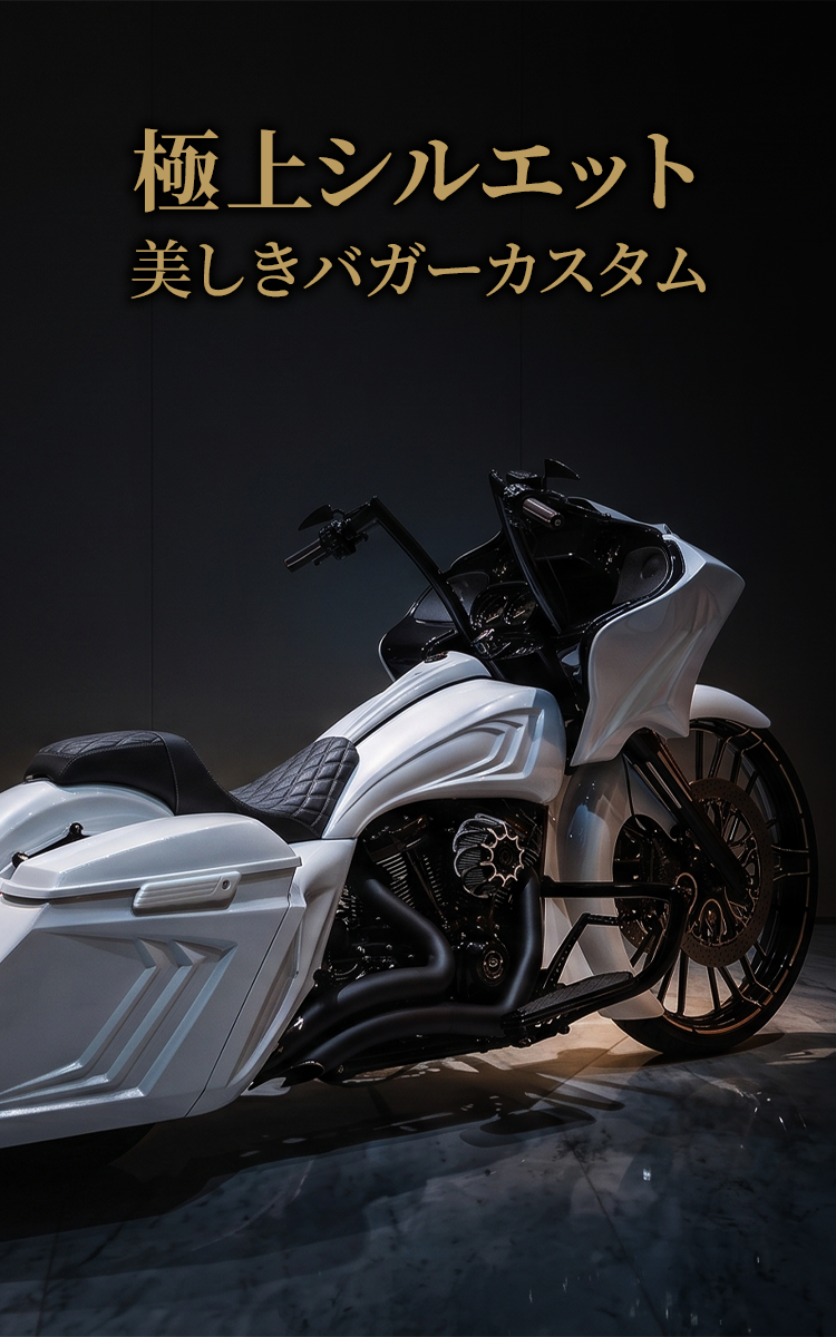 バガーカスタムバナーSP