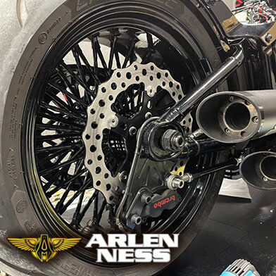 ARLEN NESS