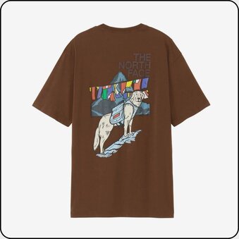 ノースフェイス 速乾Tシャツ