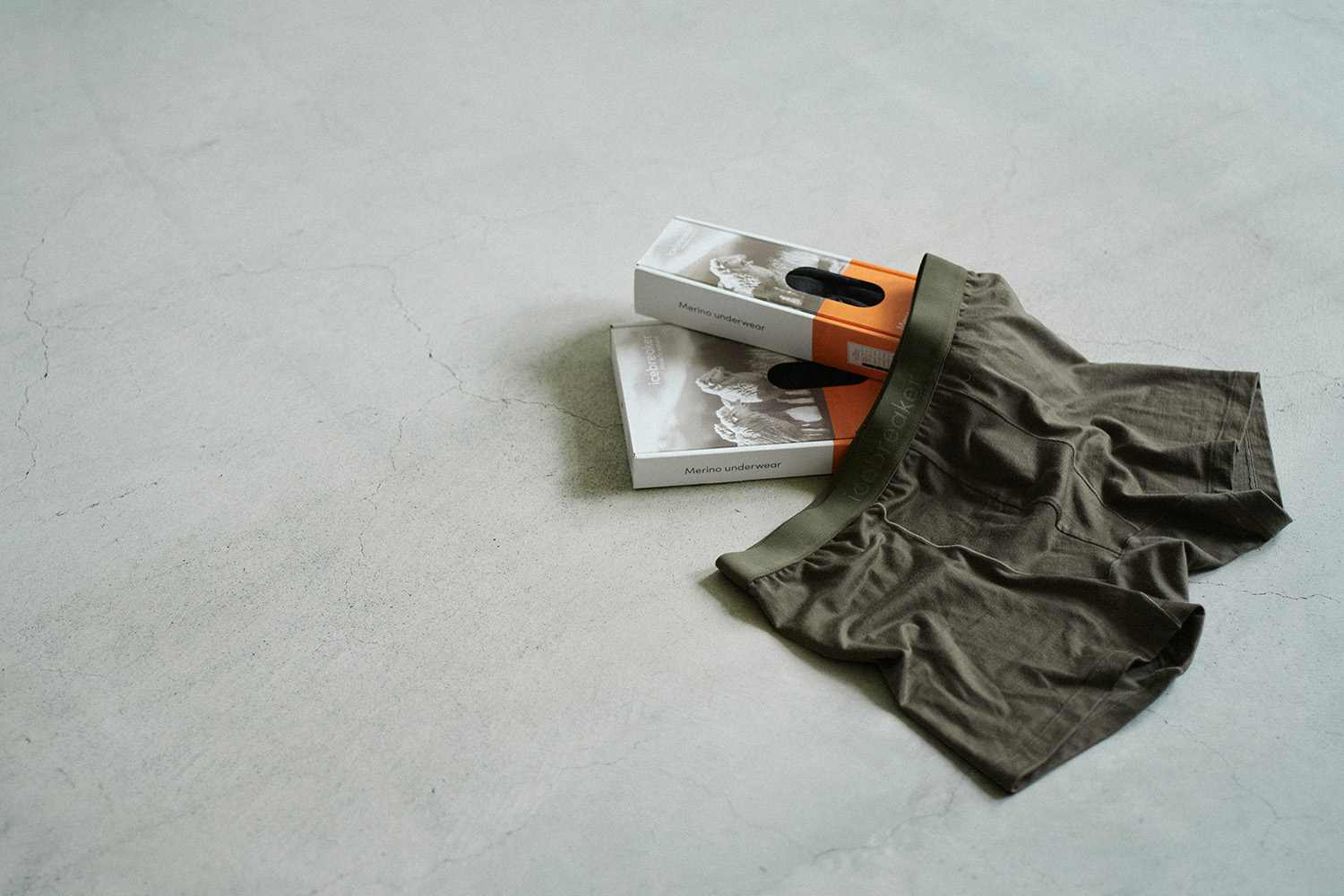 icebreaker MERINO UNDER WEAR